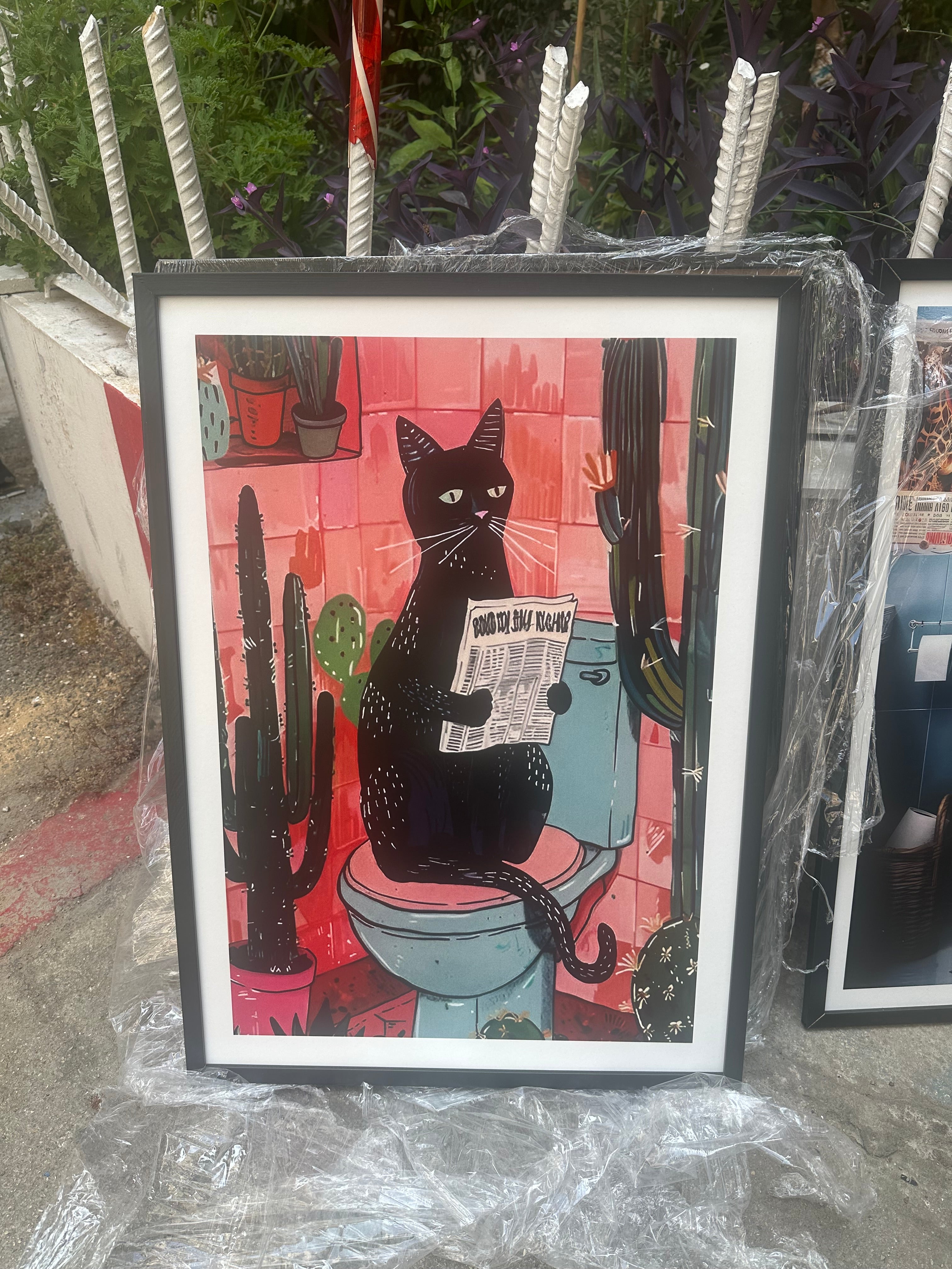 Black Cat