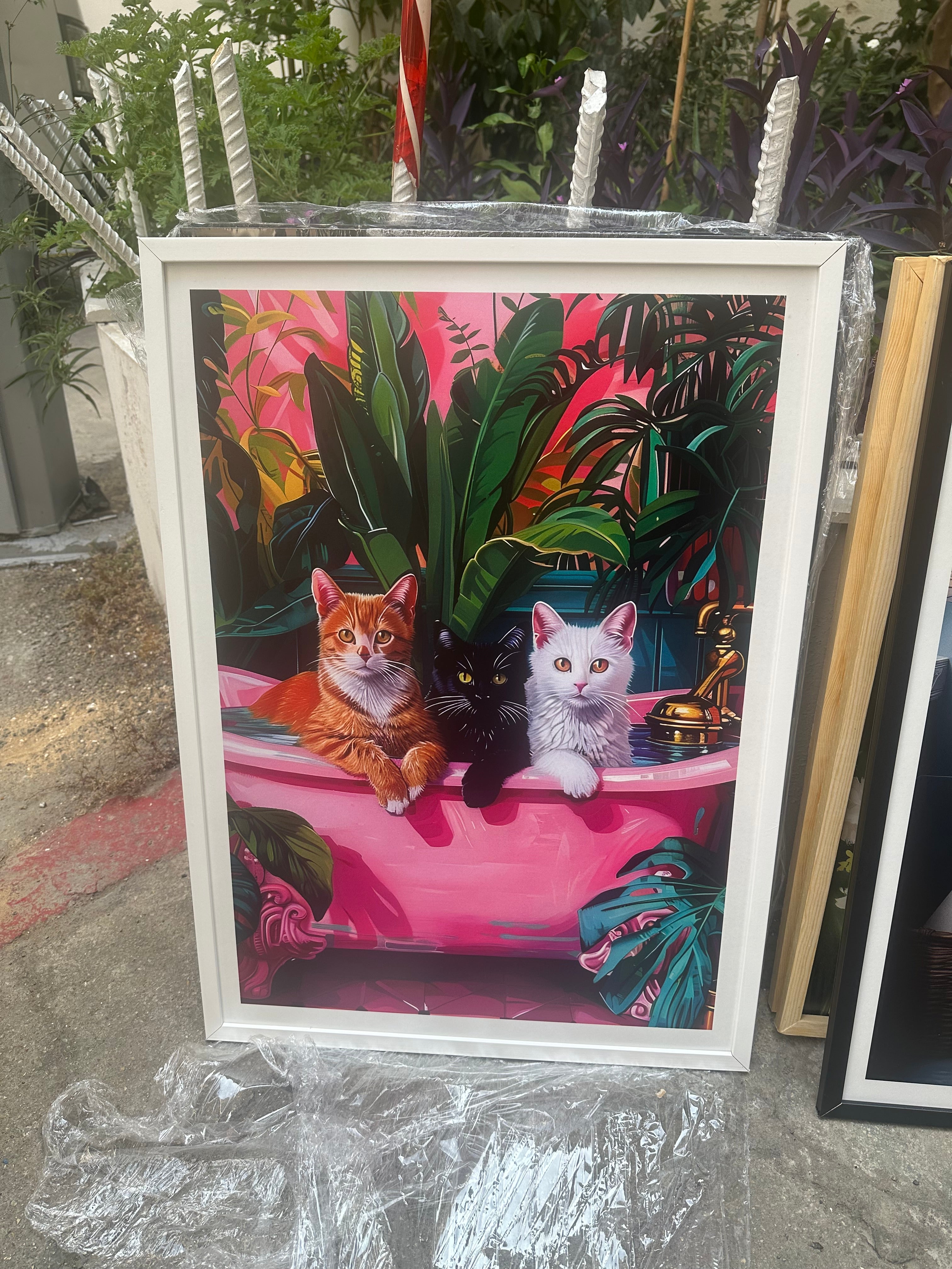 Cats Lover