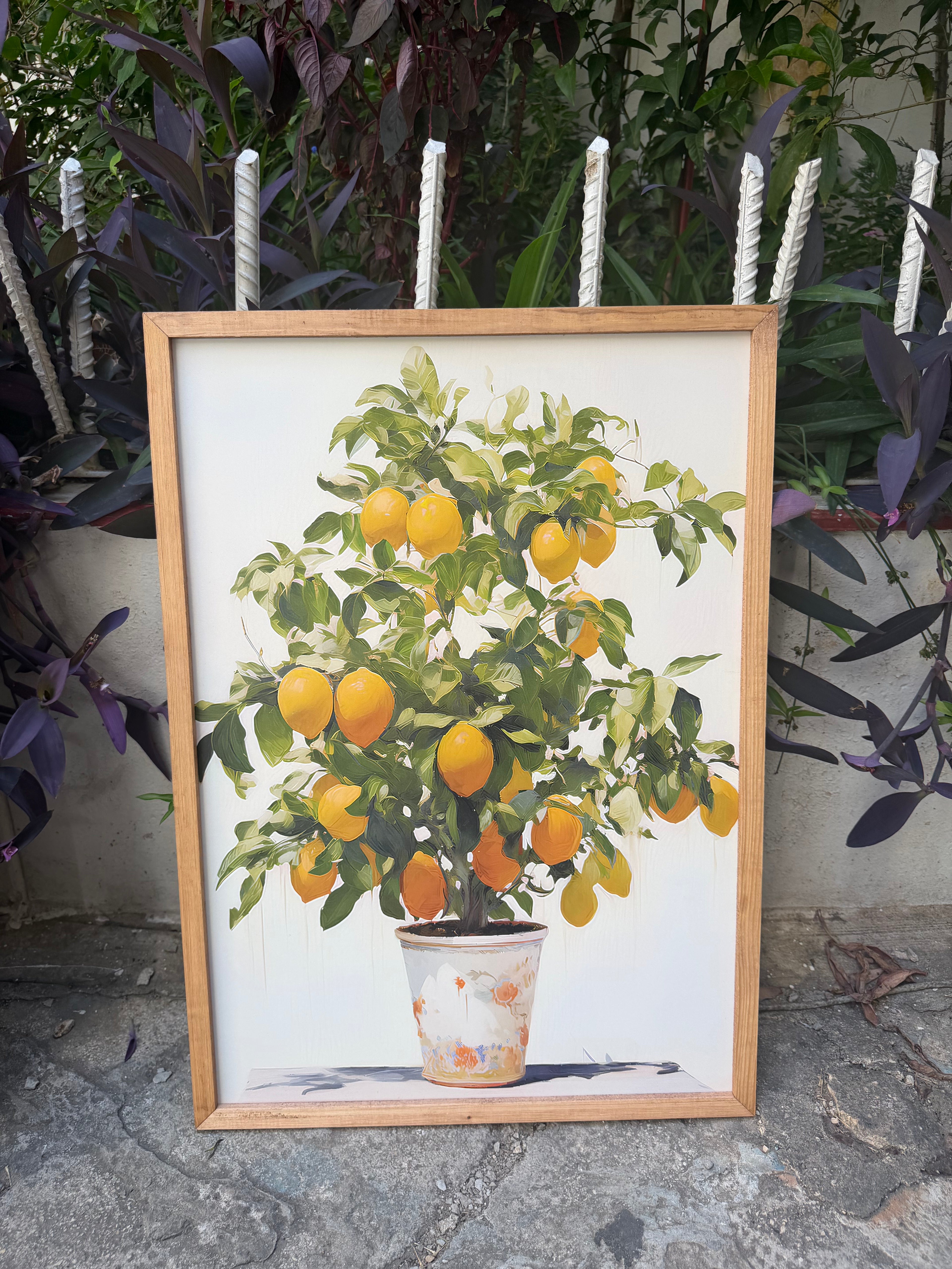 Lemon Plant