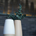 Ceramic vases