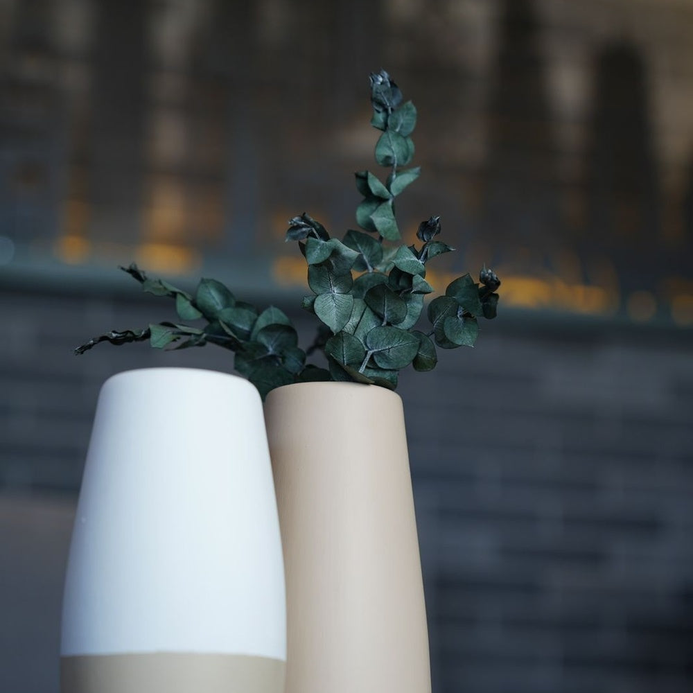 Ceramic vases