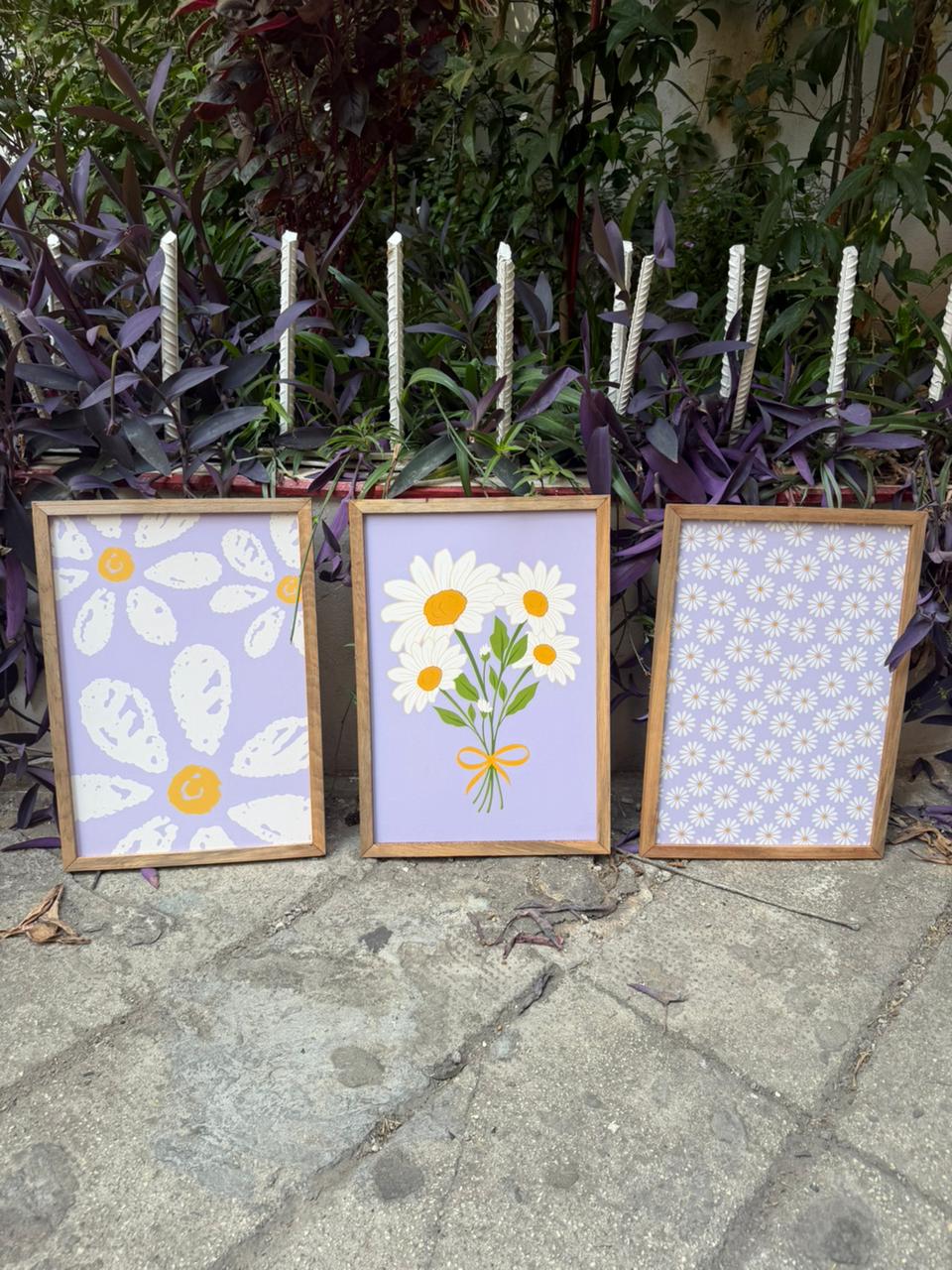 Daisies