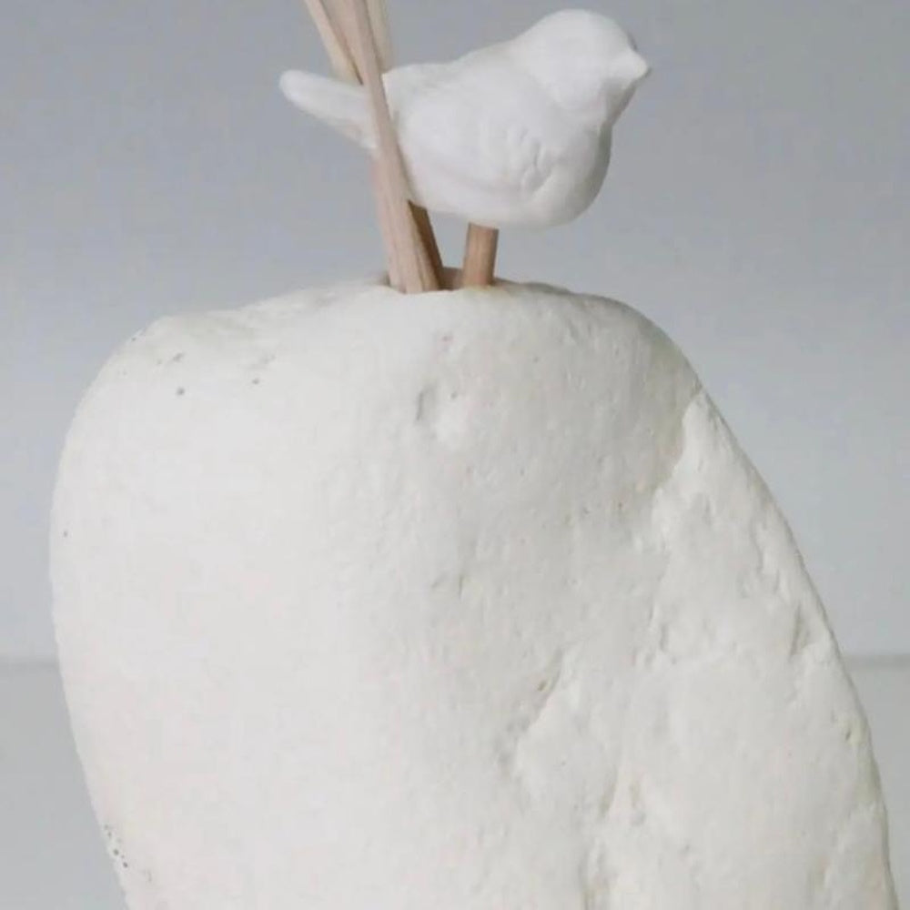 Diffuser