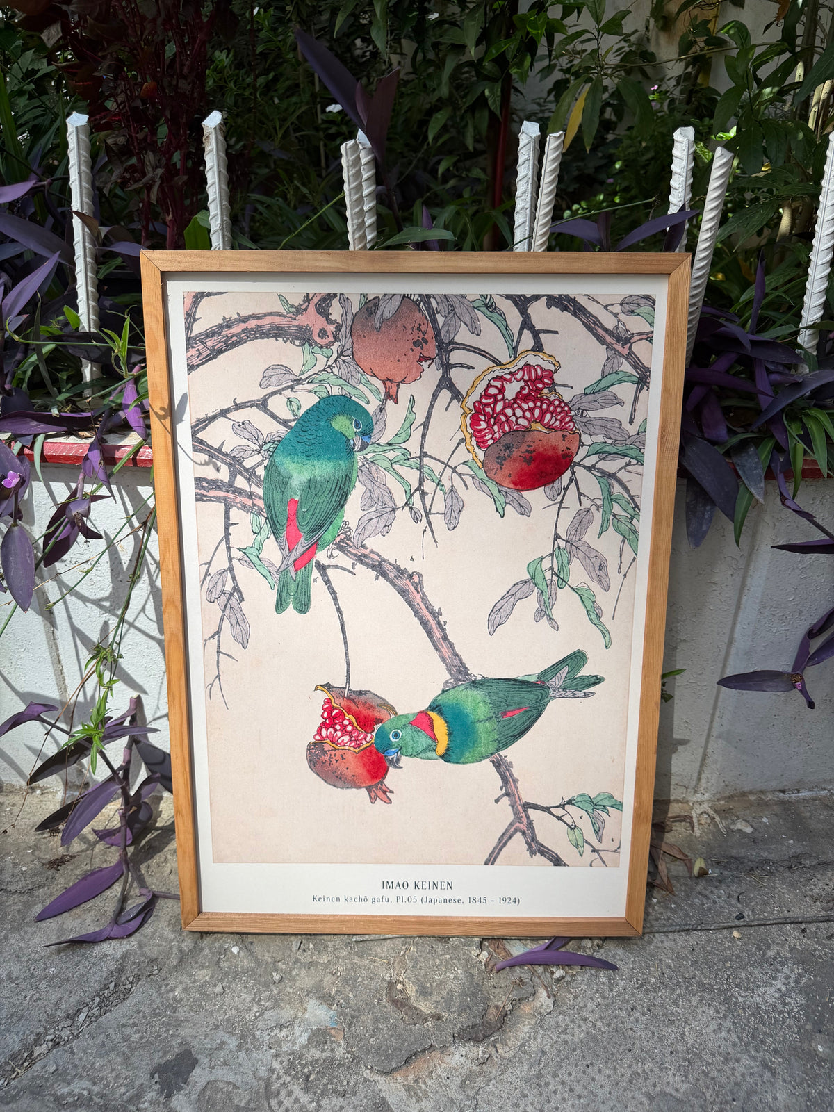 Parrots