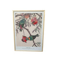 Parrots