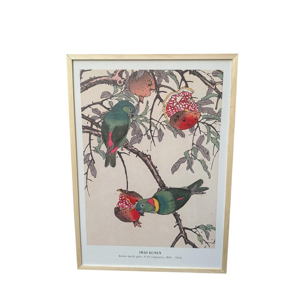 Parrots