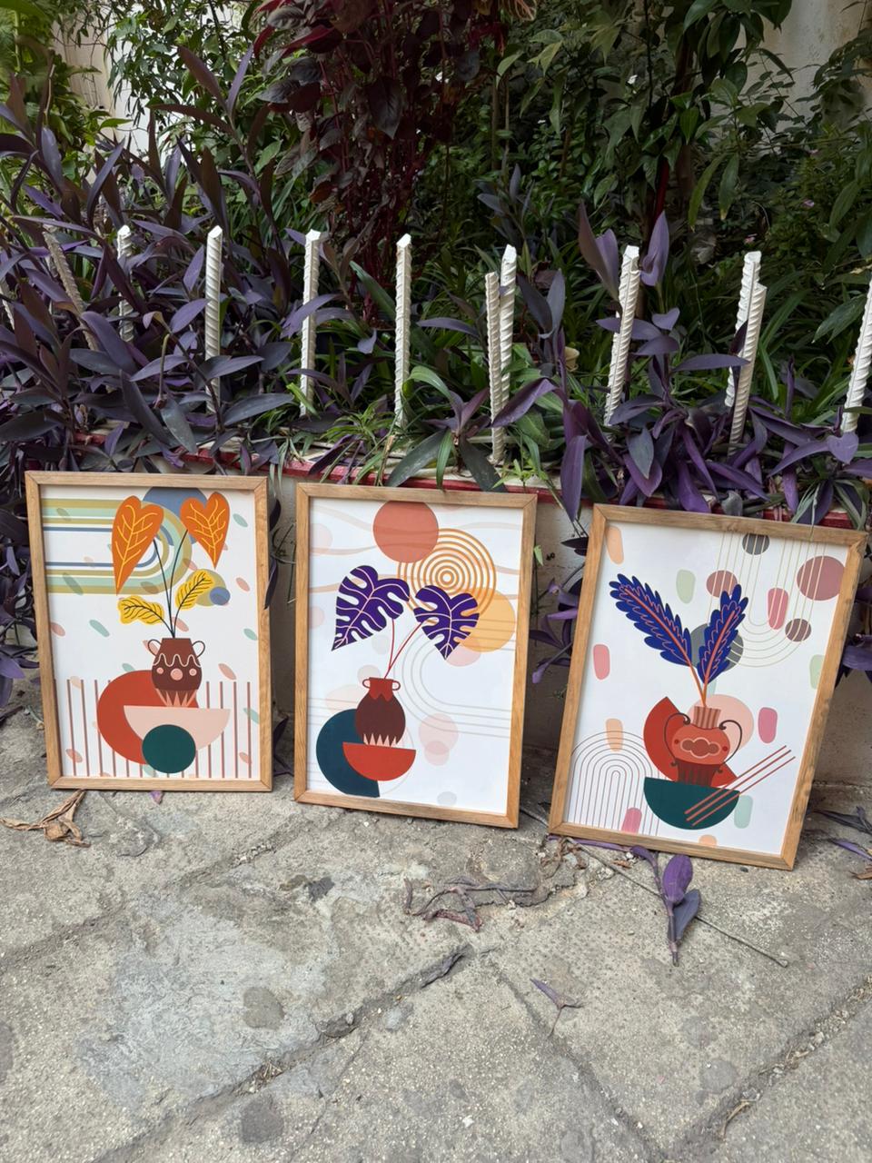 Shapes and Leaves
